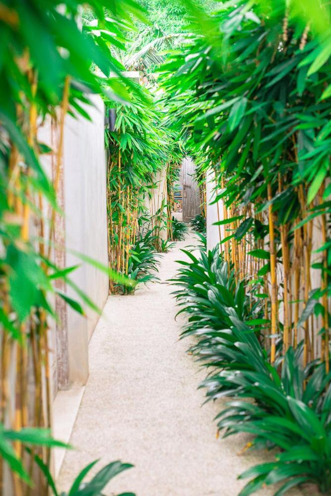 Marlaca Villas Lombok Kuta  エクステリア 写真